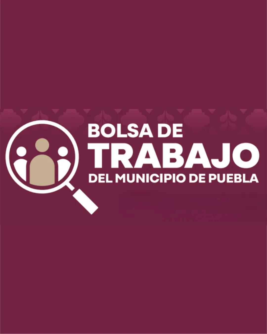 Requisitos Bolsa de Trabajo